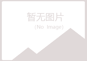 防城港山柏能源有限公司